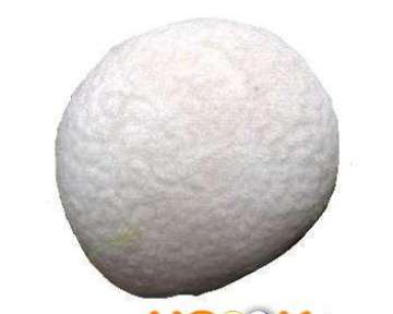 Гриб порховка — описание с фото полезных свойств, вреда, противопоказаний к употреблению, а также использования в кулинарии