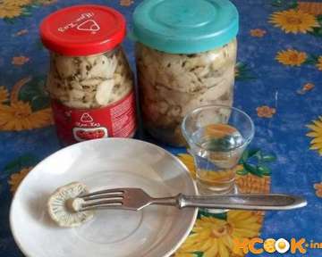 Соленые сыроежки — рецепт с фото приготовления в домашних условиях