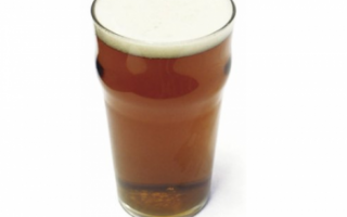 Пиво эль – виды и состав напитка; чем отличается от обычного пива; рецепт, как приготовить имбирный эль в домашних условиях