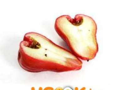 Сизигиум — использование данного растения, как гомеопатического средства