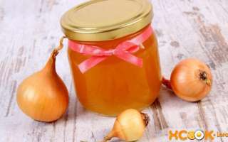 Лук с медом от кашля — лучшее народное средство для детей и взрослых; рецепты приготовления