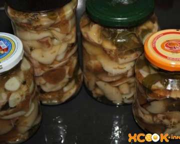 Маринованные грибы маслята – пошаговый рецепт с фото, как мариновать их на зиму в домашних условиях