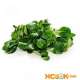 Полевой салат – описание с фото растения; полезные свойства валерианеллы салатной и ее выращивание; рецепты блюд