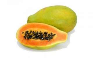 Папайя — описание полезных свойств этого фрукта с фото, а также отзывы о нем