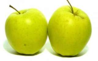 Яблоки голден — описание пользы этого сорта, калорийность фрукта
