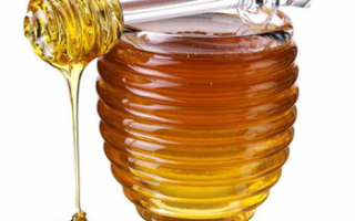 Цветочный мед – лечебные свойства и калорийность, выбор и хранение