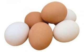 Куриное яйцо — польза и вред, характеристика его скорлупы, а также фото этого продукта