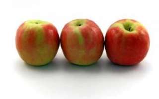 Яблоки Мантет — фото плодов, их описание, а также отзывы об этом сорте
