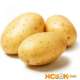 Картофель — калорийность, польза и вред