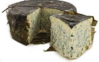Уникальные качества сыра Рокфор, а также фото этого сыра с плесенью