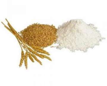 Характеристика состава и свойств муки пшеничной, её сорта, а также рецепты приготовления из хлебопекарного продукта