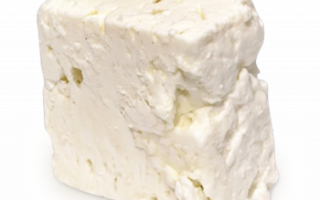 Уникальные свойства сыра панир, а также рецепт домашнего индийского сыра
