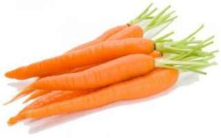 Содержание витамин в моркови и ее польза для здоровья
