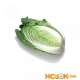 Пекинская капуста — характеристика свойств овоща и содержания в нем витаминов