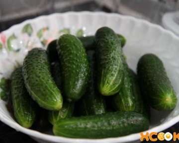 Малосольные огурцы на минеральной воде с газом — рецепт приготовления в домашних условиях с пошаговыми фото