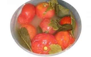 Соленые помидоры — польза и вред этого продукта, его калорийность