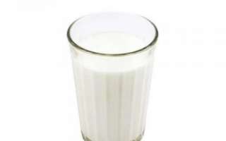 Полезные свойства напитка из верблюжьего молока, использование чала в кулинарии