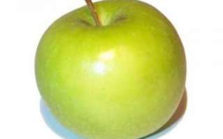 Антоновка (обыкновенная) — подробное описание этого сорта яблок с фото