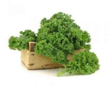 Капуста кале — калорийность, польза и противопоказания