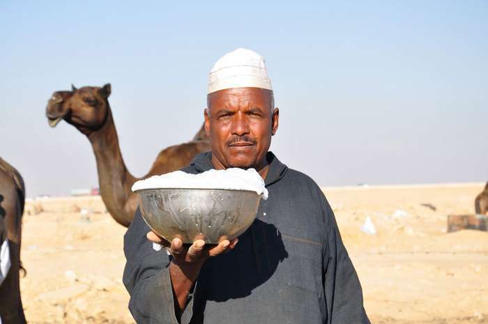 верблюжье молоко в таре