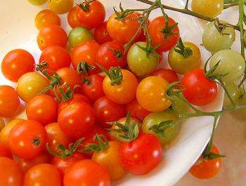 овощ - помидоры черри