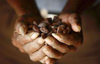 бобы какао в руках