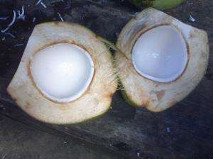 вред кокоса