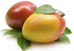 полезные свойства манго
