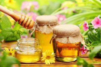 мед из хризантем