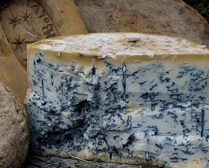 пласт голубого сыра