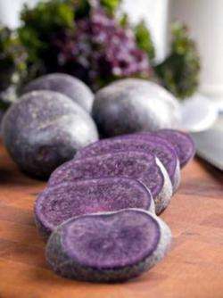 польза фиолетового корнеплода