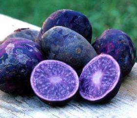корнеплод с фиолетовой мякотью