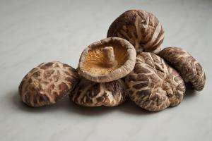 польза китайских древесных грибов