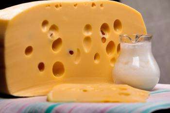 описание этого твердого сорта сыра