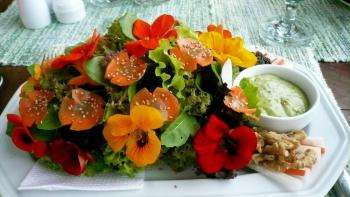 салат с цветами