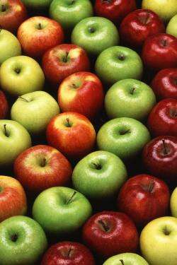 польза плодов яблони