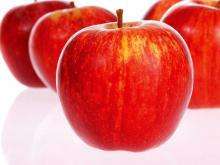 Как хранить яблоки сорта Джонаголд?