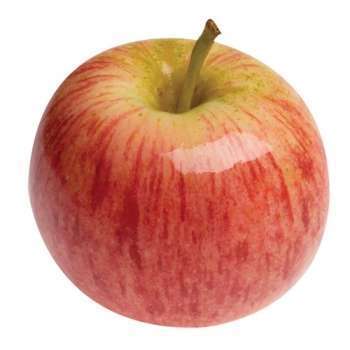 фото яблок Гала