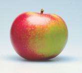 Как яблоки данного сорта используются в кулинарии?