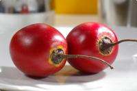 польза плодов томатного дерева