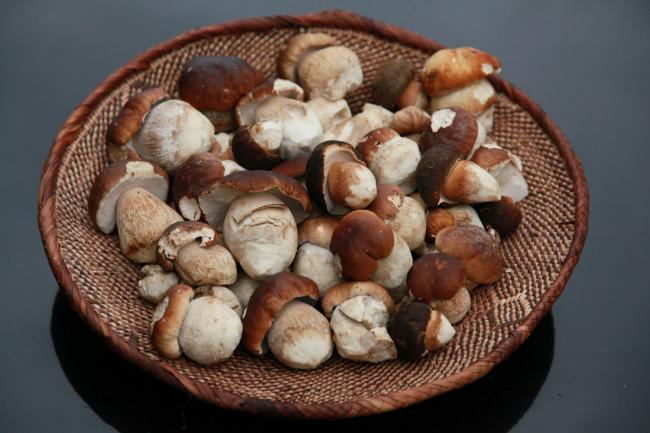 белые грибы в миске