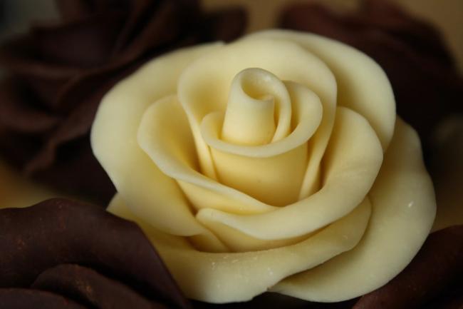 роза из белого шоколада