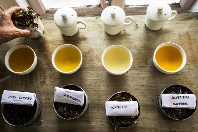несколько видов чая в заваренном и сушеном виде