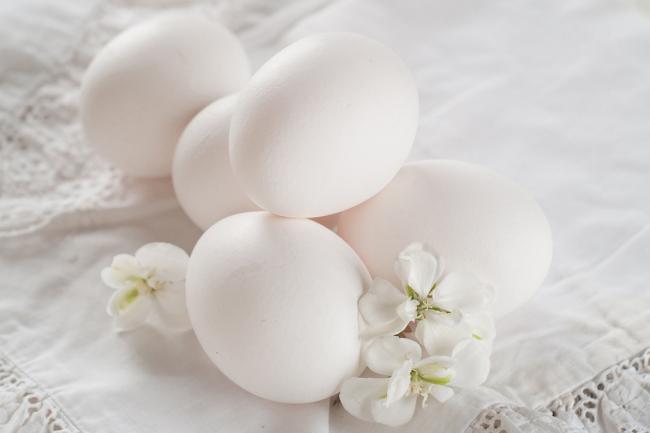 белые гусиные яйца