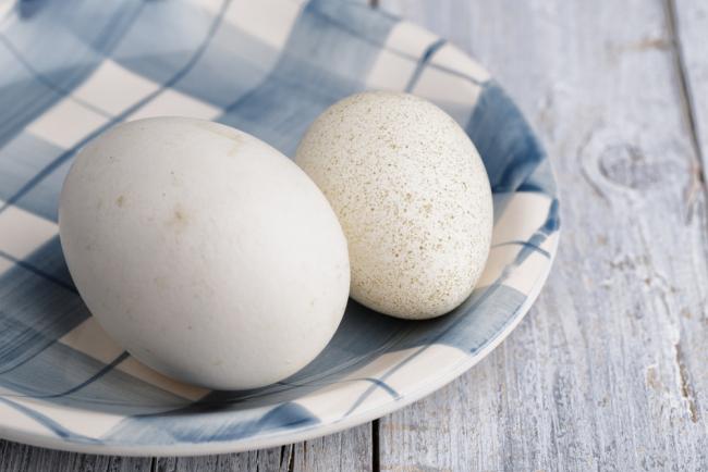 гусиные яйца на тарелке