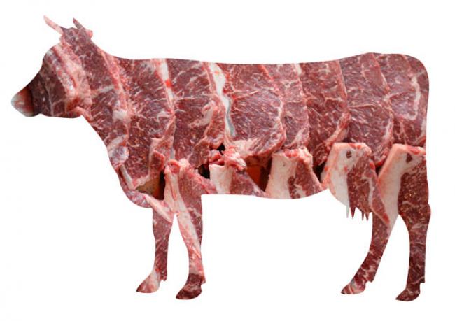 мясо выложенное в форме коровы