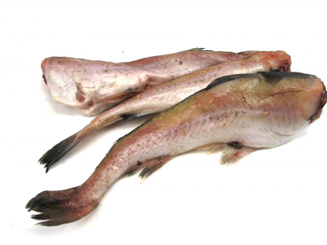 тушки рыбы минтай