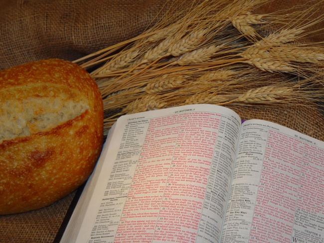 хлеб и книга