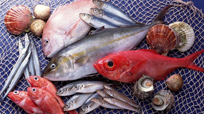 свежая рыба и морепродукты