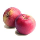 плоды яблони сорта Айдаред